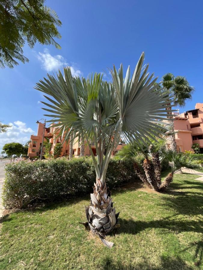 Spirit Of Mar Menor Apartment Торе-Пачеко Екстериор снимка